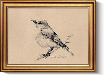 Bzstyleart Vintage Wall Art Decor for Living Room, Framed Vintage Bird Wall Art Canvas Prints Home Decor Aesthetic, Sketch Painting Picture for Bedroom Kitchen, New York State, 12L x 16W