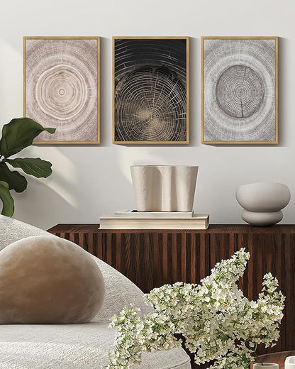 PHOPAGO Vintage Wood Tree Rings Wall Art Farmhouse Rustic Framed Canvas Paintings Living Room Bedroom Decor Nature Artwork 11x14in Natural Framed