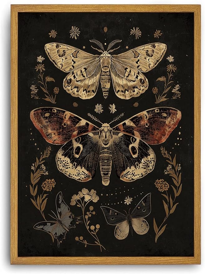 Djmwtb Framed Wall Art Vintage Wall Decor Moth Canvas Art Insect Pictures Botanical Paintings Dark Prints Gothic Artwork for Bedroom Living Room