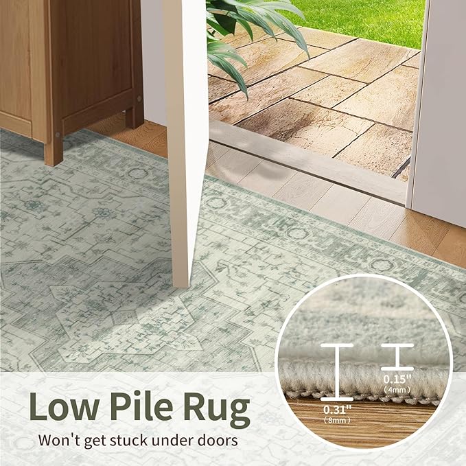 Rugxara Washable Area Rug for Living Room, Bedroom Kitchen(3'x5')
