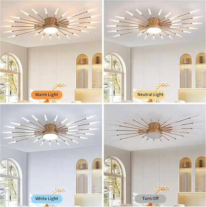 Modern Ceiling Light LED Flush Mount Ceiling Light for Living Room,Kitchen,Bedroom Fireworks Design Dimmable with Remote Control & Memory Function Lighting Fixture (Gold,12 Light)