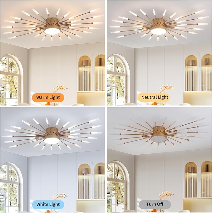 Modern Ceiling Light LED Flush Mount Ceiling Light for Living Room,Kitchen,Dining Room,Bedroom Fireworks Design Dimmable with Remote Control & Memory Function Lighting Fixture (Gold,28 Light)