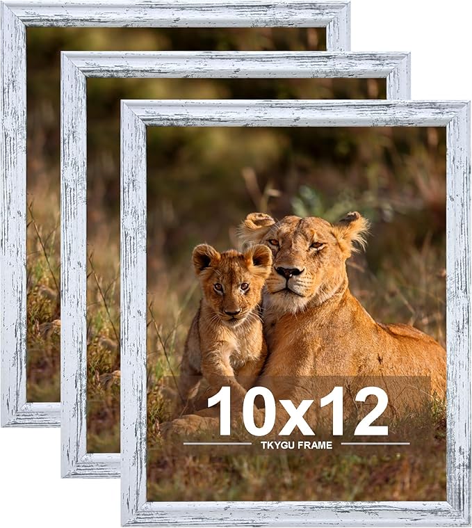 10x12 Picture Frame set of 3,Woode Frame for Wall Hanging, Horizontally or Vertically, 10 x 12 Wall Gallery Poster Photo Frame Rustic White best gift