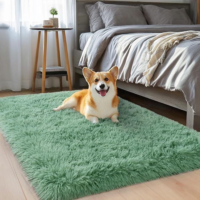 qulint Sage Green Rug for Bedroom, 2x3 Fluffy Area Rugs for Living Room Shag Fuzzy Small Carpet, Soft Shaggy Alfombras for Besides Kids Boys and Girls Dorm Nursery Home Decor (2ft x 3ft, Sage Green)
