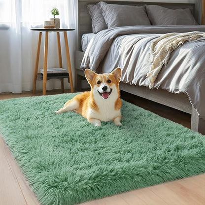 qulint Sage Green Rug for Bedroom, 2x3 Fluffy Area Rugs for Living Room Shag Fuzzy Small Carpet, Soft Shaggy Alfombras for Besides Kids Boys and Girls Dorm Nursery Home Decor (2ft x 3ft, Sage Green)