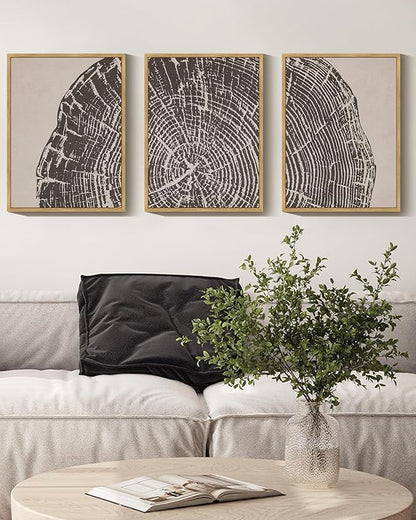 PHOPAGO Farmhouse Vintage Framed Wall Art Set Gray Wood Tree Ring Spirals Nature Abstract Drawings Rustic Modern Art Decor for Living Room Bedroom - 11x14in Natural Framed
