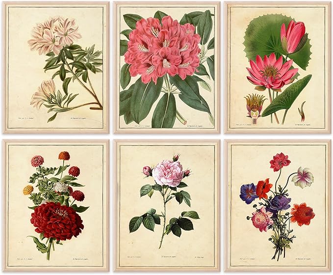 Vintage Botanical Flowers Art Prints (Set of 6) - Unframed - 8x10s | Charming and Classic Floral Decor for Your Home | Living Room Wall Decor | Vintage Wall Art | Vintage Wall Decor | Office Decor