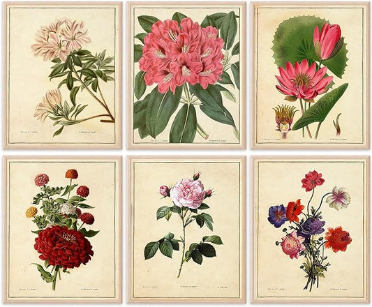 Vintage Botanical Flowers Art Prints (Set of 6) - Unframed - 8x10s | Charming and Classic Floral Decor for Your Home | Living Room Wall Decor | Vintage Wall Art | Vintage Wall Decor | Office Decor