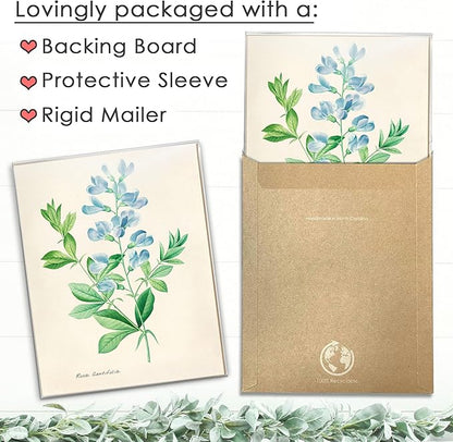 DREAM BIG PRINTABLES Vintage Roses Wall Art Prints (Set of 6) - Unframed - 11x14s | Botanical Decor - Vintage Sketch Prints - French Country - Flower Aesthetic Room Decor
