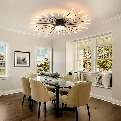Modern Ceiling Light LED Flush Mount Ceiling Light for Living Room,Kitchen,Dining Room,Bedroom Fireworks Design Dimmable with Remote Control & Memory Function Lighting Fixture (Black,28 Light)