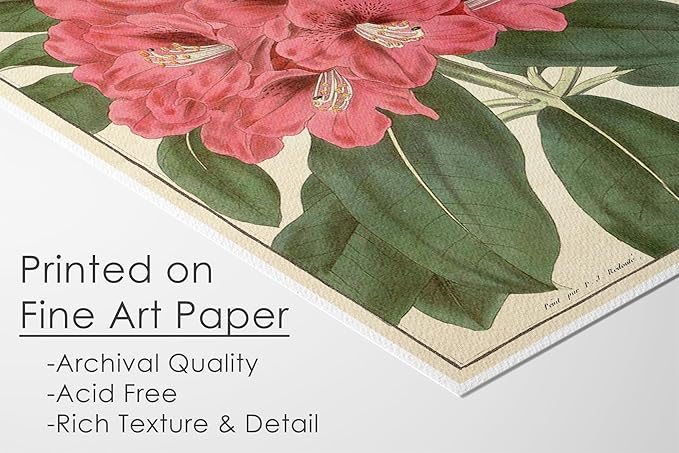 Vintage Botanical Flowers Art Prints (Set of 6) - Unframed - 11x14 | Charming and Classic Floral Decor for Your Home | Living Room Wall Decor | Vintage Wall Art | Vintage Wall Decor | Office Decor