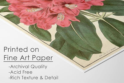 Vintage Botanical Flowers Art Prints (Set of 6) - Unframed - 11x14 | Charming and Classic Floral Decor for Your Home | Living Room Wall Decor | Vintage Wall Art | Vintage Wall Decor | Office Decor