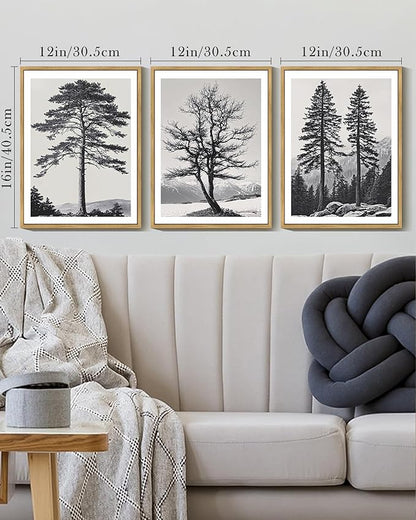 Drsoum Vintage Black Gray Tree Wall Art Framed Antique Retro Forest Prints Modern Rustic Artwork Bedroom Farmhouse Ready to Hang 12x16in Natural Framed