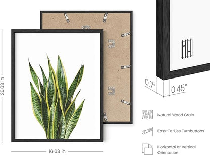 HAUS AND HUES Plant Wall Art - Set of 4 Green Plant Pictures Collection, Botanical Prints, Sage Green Leaves Paintings, Minimalist Wall Décor (16x20, Black Frame)