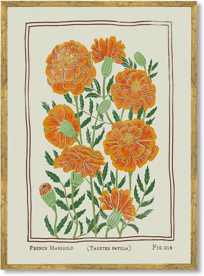 Large Gold Framed Vintage French Marigold Botanical Wall Art Retro Floral Canvas Painting Print Stylish Birth Flower Pictures Farmhouse Artwork for Bedroom Home Garden-Inspired Decor 24x36inch