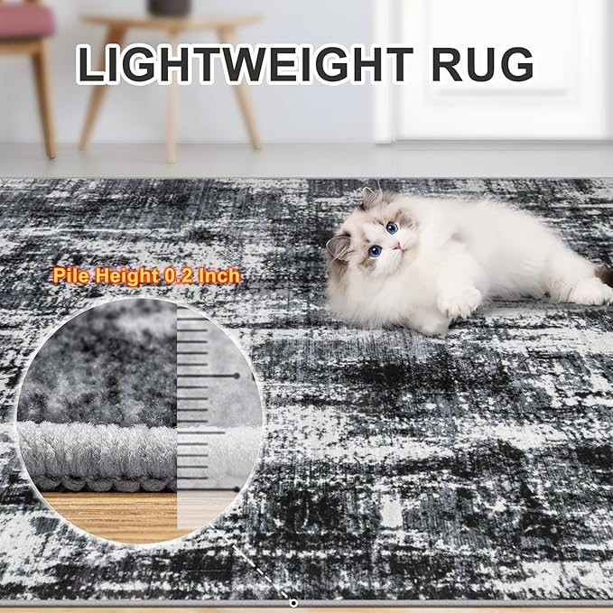 Area Rugs 9x12 Living Room - Washable Rug Modern Abstract Soft Large Neutral Non-Slip Carpet Indoor Floor Thin Carpets for Bedroom Dining Room Farmhouse Nursery Home Office Black
