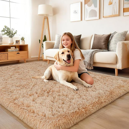 Rug for Living Room Bedroom, 5x7 Area Rugs for Living Room, Ultra Soft Modern Shaggy Carpets Fuzzy Rug for Boys Girls Dorm Nursery Home Decor Aesthetic, Upgrade Non-Slip Durable, Beige