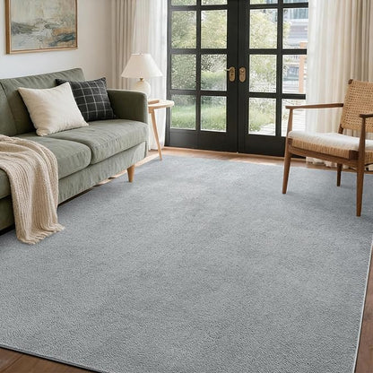 FinRèc 4x6 Washable Area Rugs for Bedroom Living Room, Low Pile Thin Rug Solid Color, Non-Slip Carpet Indoor for Home Decor (Pure Light Grey)