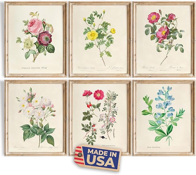 DREAM BIG PRINTABLES Vintage Roses Wall Art Prints (Set of 6) - Unframed - 11x14s | Botanical Decor - Vintage Sketch Prints - French Country - Flower Aesthetic Room Decor
