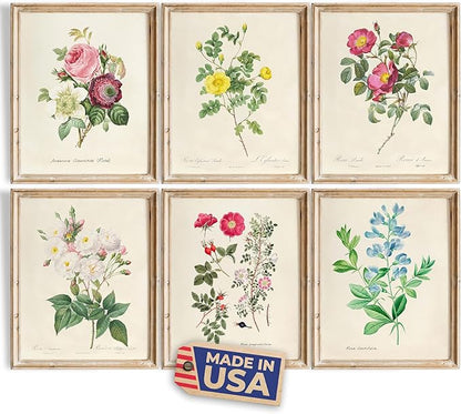 DREAM BIG PRINTABLES Vintage Roses Wall Art Prints (Set of 6) - Unframed - 11x14s | Botanical Decor - Vintage Sketch Prints - French Country - Flower Aesthetic Room Decor