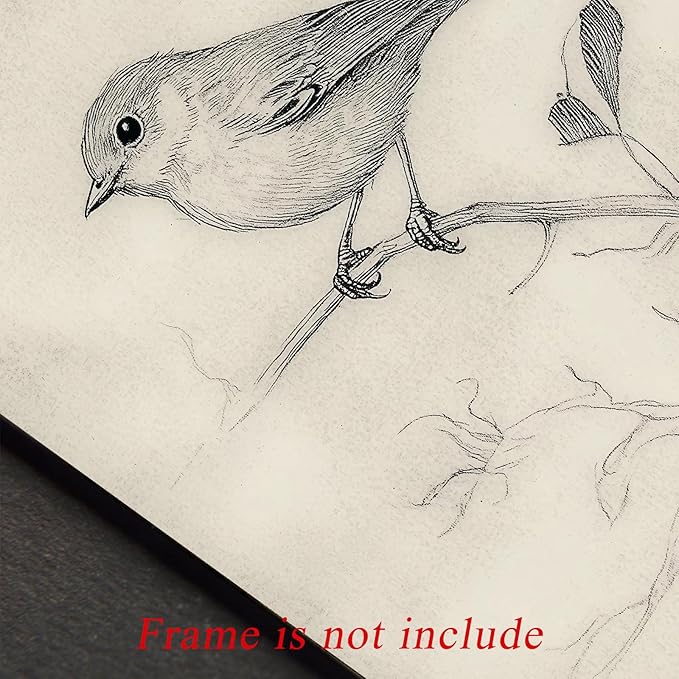 uniro Vintage Bird Sketch Wall Art Prints Farmhouse Decor Sparrow on a Branch Sketch Canvas Oil Painting Antique Bird Neutral Vintage Artwork Pictures for Bedroom Living Room Decor (8" x 10"-UNFRAMED)