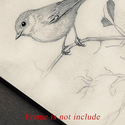 uniro Vintage Bird Sketch Wall Art Prints Farmhouse Decor Sparrow on a Branch Sketch Canvas Oil Painting Antique Bird Neutral Vintage Artwork Pictures for Bedroom Living Room Decor (8" x 10"-UNFRAMED)