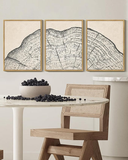 PHOPAGO Farmhouse Vintage Framed Wall Art Set Gray Wood Tree Ring Spirals Nature Abstract Drawings Rustic Modern Art Decor for Living Room Bedroom - 11x14in Natural Framed