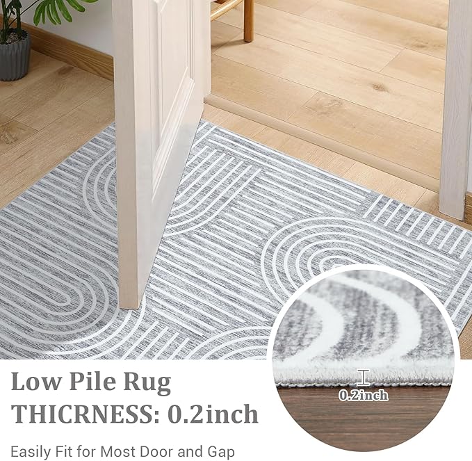 ROYHOME Washable Rug 3x5 Area Rugs for Living Room, Abstract Rug for Bedroom, Soft Rainbow Non Slip Throw Rugs with Rubber Back, Low Pile Stain Resistant Boho Geometric Carpet for Dining Room, Ash
