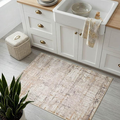 Rugxara 2x3 Entryway Rug,Door Mat Indoor Entrance, Washable Non Slip Kitchen Bathroom Rugs, Ultra-Thin Throw Small Rug for Front Door, Beige Grey