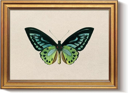 Bzstyleart Vintage Wall Art Decor, Vintage Gold Framed Wall Art, Green Butterfly Frmaed Artwork for Office, Aesthetic Canvas Picture Print, Painting for Bedroom Living Bathroom, 12 x 16 Inch