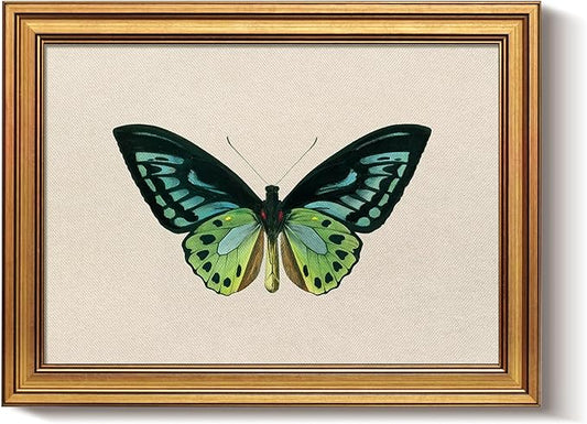 Bzstyleart Vintage Wall Art Decor, Vintage Gold Framed Wall Art, Green Butterfly Frmaed Artwork for Office, Aesthetic Canvas Picture Print, Painting for Bedroom Living Bathroom, 12 x 16 Inch