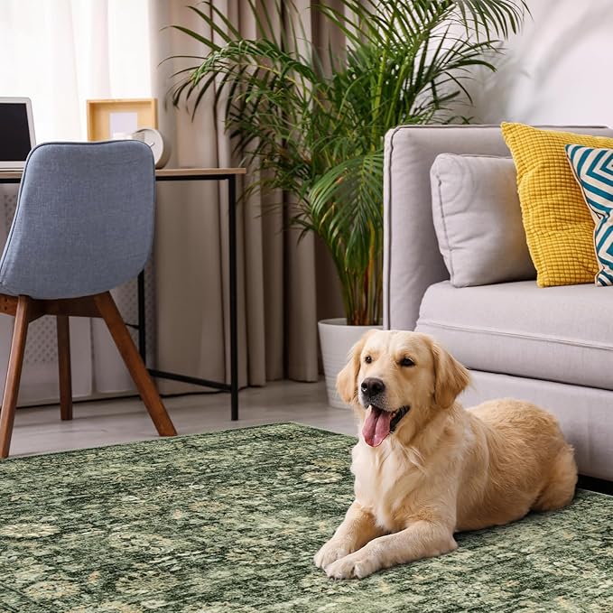 Morebes 5 x 7 Area Rugs Washable Rug Boho Soft Living Room Rugs, Non-Slip Non-Shedding Distressed Large Vintage Rug for Bedroom Farmhouse Dining Room Indoor Playroom,Grayish Green