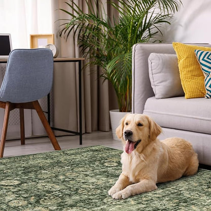 Morebes 5 x 7 Area Rugs Washable Rug Boho Soft Living Room Rugs, Non-Slip Non-Shedding Distressed Large Vintage Rug for Bedroom Farmhouse Dining Room Indoor Playroom,Grayish Green