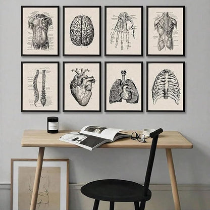 Ohhvvow Human Anatomy Artwork Medical Wall Art Canvas, 8 * 10 Inch Muscle Skeleton Vintage Poster Nordic Canvas Print Education Painting Modern Decor, Unframed