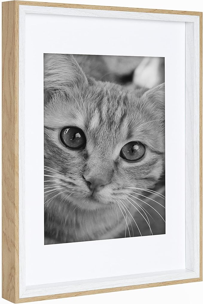 Kate and Laurel Gibson Modern Frame Set; Set of 10; White and Natural Wood; Decorative Photo Gallery Wall Frame Set with Multiple Sizes