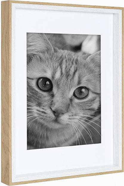 Kate and Laurel Gibson Modern Frame Set; Set of 10; White and Natural Wood; Decorative Photo Gallery Wall Frame Set with Multiple Sizes