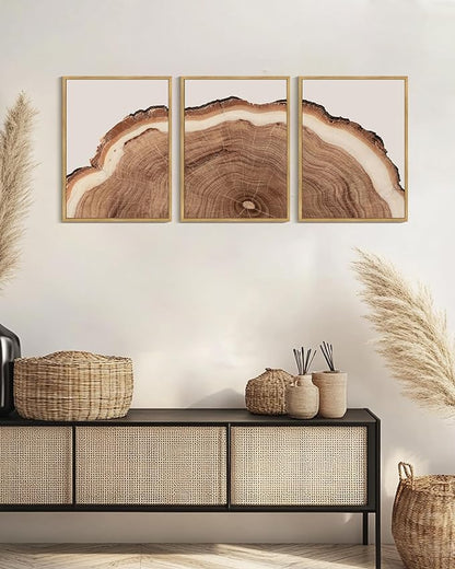 Drsoum Vintage Retro Tree Rings Wood Framed Wall Art Wood Stump Prints Modern Nature Rustic Artwork Bedroom Living Room Ready to Hang 12x16in Natural Framed