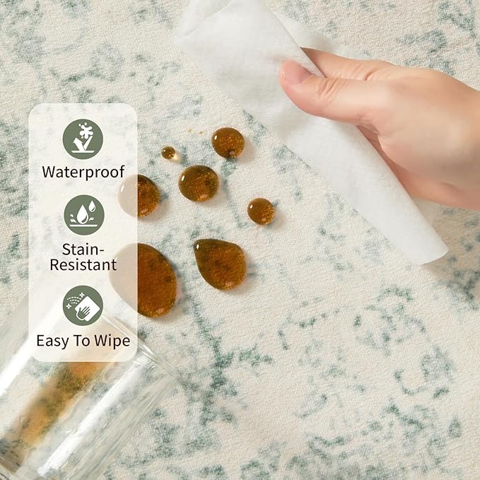 Rugxara Washable Area Rug for Living Room, Bedroom Kitchen