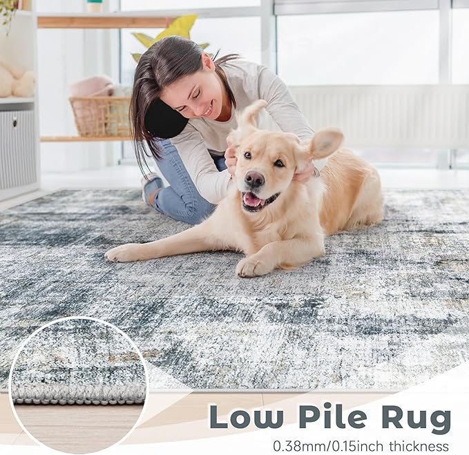 5x7 Area Rug for Living Room: Washable Abstract Soft Rugs Non Slip Modern Stain Resistant Low Pile Carpet for Dining Room Bedroom Nursery Office (Multi Blue, 5'x7')