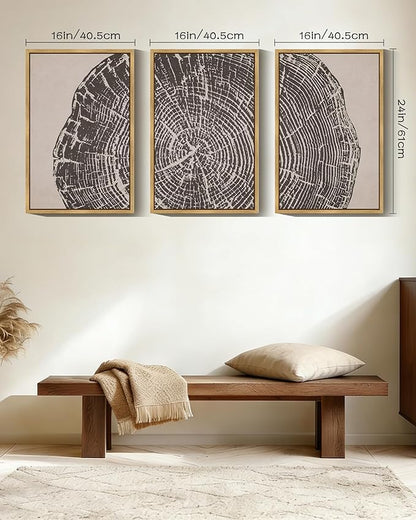 PHOPAGO Farmhouse Vintage Framed Wall Art Large 16x24in Set Gray Wood Tree Ring Spirals Nature Abstract Drawings Rustic Modern Art Decor for Living Room Bedroom - Natural Framed