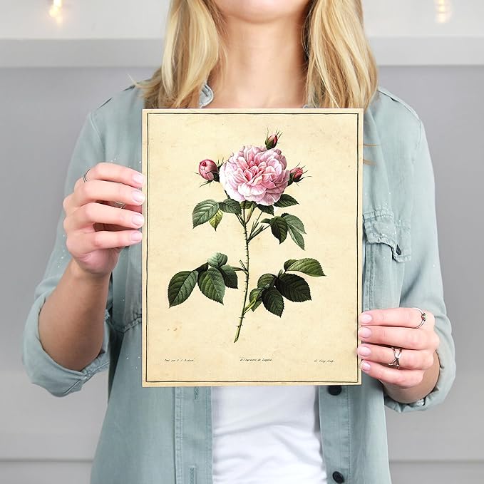 Vintage Botanical Flowers Art Prints (Set of 6) - Unframed - 8x10s | Charming and Classic Floral Decor for Your Home | Living Room Wall Decor | Vintage Wall Art | Vintage Wall Decor | Office Decor