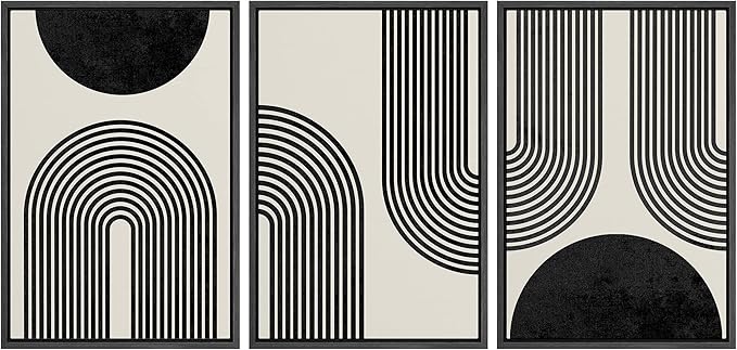 SIGNLEADER Framed Canvas Print Wall Art Spiral Parabolas & Solid Semi Circle Geometric Shapes Drawings Modern Art Contemporary Edgy Black and White for Living Room, Bedroom, Office - 24"x36"x3 BLACK