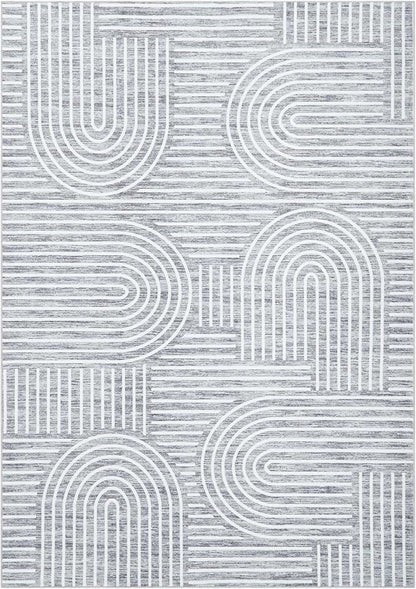 ROYHOME Washable Rug 4x6 Area Rugs for Living Room, Abstract Rug for Bedroom, Soft Rainbow Non Slip Throw Rugs with Rubber Back, Low Pile Stain Resistant Boho Geometric Carpet for Dining Room, Ash