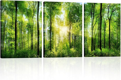 HLJ ART Forest Wall Art: 3 Panel Green Tree Pictures Canvas Wall Art, 20x30 Inch, Sunrise Prints Scenery Wall Art Hanging Wall Mural Nature Art Wall Decor for Bedroom, Living Room, Office