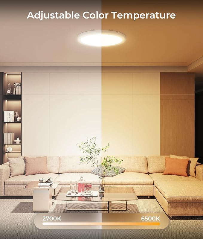 DeckTok 12 Inch Smart Ceiling Light, 2400LM RGBCW LED Flush Mount Ceiling Light Work with App & Voice Control, 2700K-6500K Dimmable LED Ceiling Light Fixture for Living Room Bedroom Game Room, 2 Pack