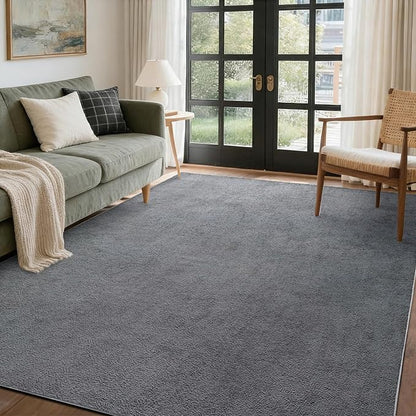 FinRèc 4x6 Washable Area Rugs for Bedroom Living Room, Low Pile Thin Rug Solid Color, Non-Slip Carpet Indoor for Home Decor (Pure Dark Grey)
