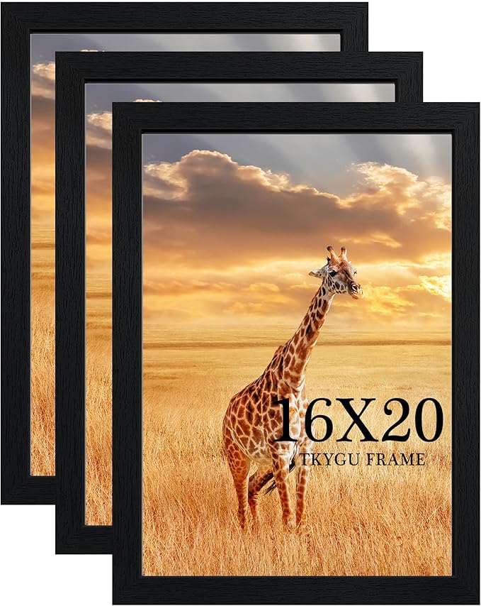 16x20 Picture Frame Set of 3, Wooden Frame Black for 16x20 Inch Poster Photo with Durable Shatter Resistant Plexiglass,Wall Gallery Poster Photo frame 20 by 16 Frame for Wall best gift