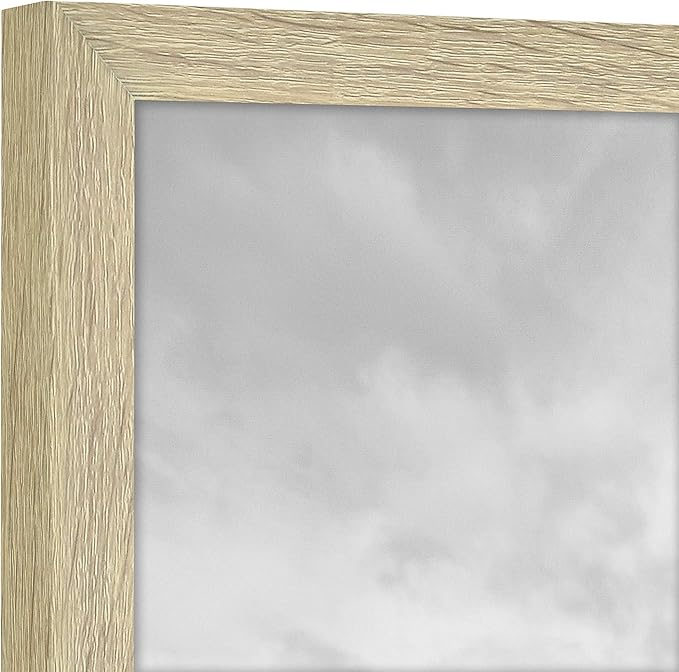MCS Gallery Essential Certificate Document Frame Set, Gallery Wall Frames Fit 8.5 x 11 Diplomas, Documents & Certificates, Natural Woodgrain, 2-Pack