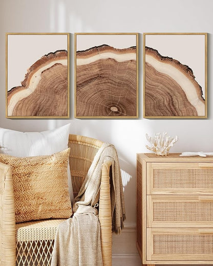Drsoum Vintage Retro Tree Rings Wood Framed Wall Art Modern Wood Stump Nature Rustic Artwork Bedroom Living Room Ready to Hang 12x16in Natural Framed