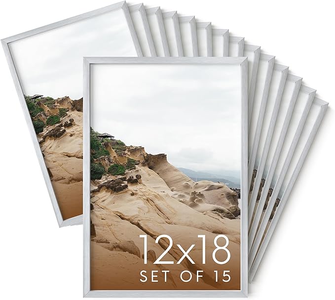 HAUS AND HUES 12x18 Silver Metal Picture Frames - Premium Aluminum with Vertical & Horizontal Hanging, Shatterproof Plexiglass - Perfect for Home or Office (12x18 in, Silver, Set of 15)